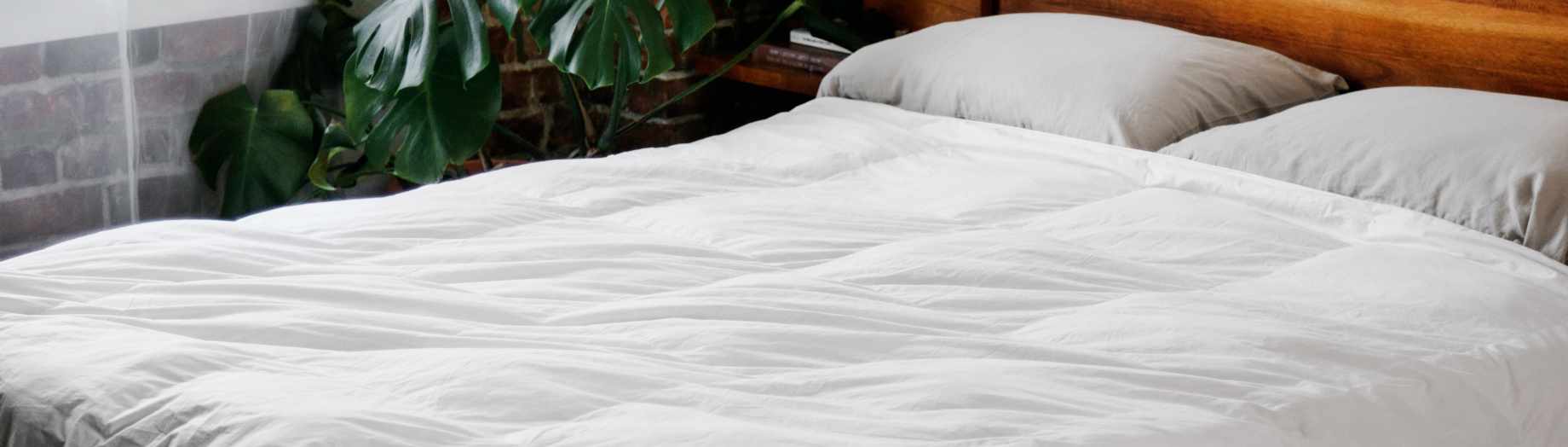Duvet Inserts